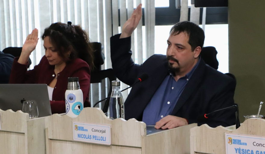 "La oposición no quería dar una herramienta a los vecinos de la Ciudad", dijo Pelolli